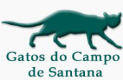 GATOS DO CAMPO DE SANTANA - Rio de Janeiro