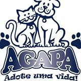 Agapa - Associação Gasparense de Proteção e Amparo aos Animais | ONG/Protetor de adoção e doação de cachorros e gatos