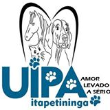 Uipa Itapetininga | ONG/Protetor de adoção e doação de cachorros e gatos