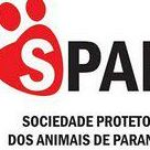 Sociedade Protetora Dos Animais de Paranavaí (Spap)