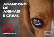 APA - Associação de Proteção Animal | ONG/Protetor de adoção e doação de cachorros e gatos