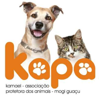 Kapa Kamael Protetores | ONG/Protetor de adoção e doação de cachorros e gatos