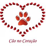 Cão no Coração | ONG/Protetor de adoção e doação de cachorros e gatos
