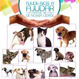Animais Perdidos e para Adoção Tangará da Serra-MT | ONG/Protetor de adoção e doação de cachorros e gatos