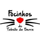 Focinhos de Taboão da Serra | ONG/Protetor de adoção e doação de cachorros e gatos