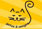 GATOS & AMIGOS | ONG/Protetor de adoção e doação de cachorros e gatos