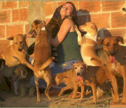 Renata Brito Protetora - RJ | ONG/Protetor de adoção e doação de cachorros e gatos