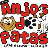  Anjos de Patas - Adote um amigo em Sobral/CE | ONG/Protetor de adoção e doação de cachorros e gatos