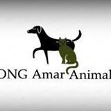  ONG Amar Animal  | ONG/Protetor de adoção e doação de cachorros e gatos