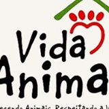ONG VIDA ANIMAL - FOZ DO IGUAÇU | ONG/Protetor de adoção e doação de cachorros e gatos