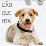 Cão que Mia Franca-SP | ONG/Protetor de adoção e doação de cachorros e gatos