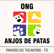 ONG Anjos de patas | ONG/Protetor de adoção e doação de cachorros e gatos