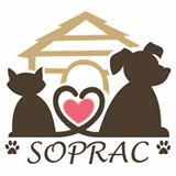 SOPRAC - Sociedade Protetora dos Animais de Caieiras | ONG/Protetor de adoção e doação de cachorros e gatos