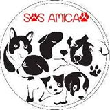 S.O.S Amicão | ONG/Protetor de adoção e doação de cachorros e gatos