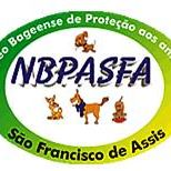 Nbpa Bagé | ONG/Protetor de adoção e doação de cachorros e gatos