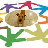 ONG PACTO PELA VIDA ANIMAL | ONG/Protetor de adoção e doação de cachorros e gatos