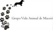 Grupo Vida Animal de Maceió | ONG/Protetor de adoção e doação de cachorros e gatos