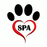 SPA - Sociedade Próativista Animalis | ONG/Protetor de adoção e doação de cachorros e gatos