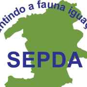 SEPDA - Nova Iguaçu  | ONG/Protetor de adoção e doação de cachorros e gatos