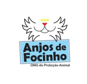 Anjos de Focinho | ONG/Protetor de adoção e doação de cachorros e gatos