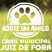 Canil Municipal de JUIZ DE FORA | ONG/Protetor de adoção e doação de cachorros e gatos