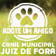 Canil Municipal de JUIZ DE FORA - Juiz de Fora