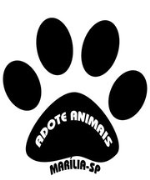 Adote Animais Vira-latas de Marilia | ONG/Protetor de adoção e doação de cachorros e gatos