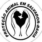 PROTEÇÃO ANIMAL EM SALVADOR-BAHIA | ONG/Protetor de adoção e doação de cachorros e gatos