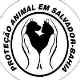 PROTEÇÃO ANIMAL EM SALVADOR-BAHIA - Salvador