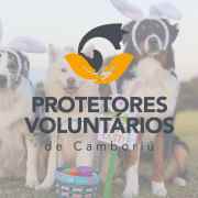 Protetores Voluntários de Camboriú | ONG/Protetor de adoção e doação de cachorros e gatos