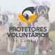 Protetores Voluntários de Camboriú - Camboriú