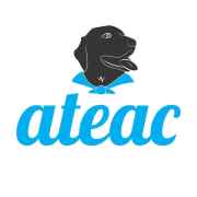 ONG Ateac | ONG/Protetor de adoção e doação de cachorros e gatos