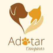 Adotar Campinas | ONG/Protetor de adoção e doação de cachorros e gatos