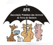 APA - Associação Protetora dos Animais de Feira de Santana | ONG/Protetor de adoção e doação de cachorros e gatos