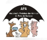 APA - Associação Protetora dos Animais de Feira de Santana - Feira de Santana