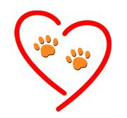 PROAMBI - Associação Protetores do Amigo Bicho | ONG/Protetor de adoção e doação de cachorros e gatos