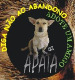 APATA - Associação Protetora dos Animais para Tratamento e Adoção - Fortaleza