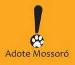 Adote Mossoró | ONG/Protetor de adoção e doação de cachorros e gatos