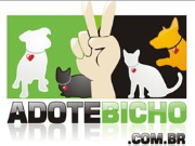 Adote Bicho | ONG/Protetor de adoção e doação de cachorros e gatos