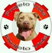 Projeto Vida Pitbull | ONG/Protetor de adoção e doação de cachorros e gatos
