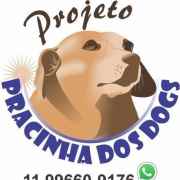 Pracinha dos Dogs | ONG/Protetor de adoção e doação de cachorros e gatos