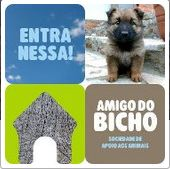 Sociedade Amigo do Bicho | ONG/Protetor de adoção e doação de cachorros e gatos