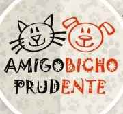 Amigo Bicho Prudente | ONG/Protetor de adoção e doação de cachorros e gatos