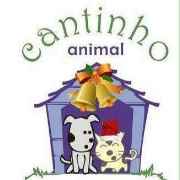 Cantinho Animal | ONG/Protetor de adoção e doação de cachorros e gatos