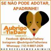 Aubrigo da Tia Dany | ONG/Protetor de adoção e doação de cachorros e gatos
