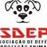 Animais Da Asdepa Belém PA | ONG/Protetor de adoção e doação de cachorros e gatos