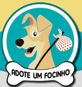 Adote um Focinho - Casa de Passagem São Lázaro | ONG/Protetor de adoção e doação de cachorros e gatos