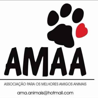 ASSOCIAÇÃO AMAA  | ONG/Protetor de adoção e doação de cachorros e gatos
