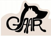 GAAR - Grupo de Apoio ao Animal de Rua | ONG/Protetor de adoção e doação de cachorros e gatos