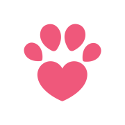Catland - adoção de gatinhos | ONG/Protetor de adoção e doação de cachorros e gatos
